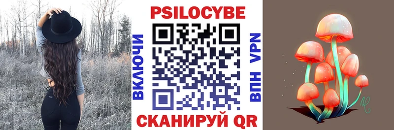 Купить  Долинск  Псилоцибиновые грибы Psilocybe 